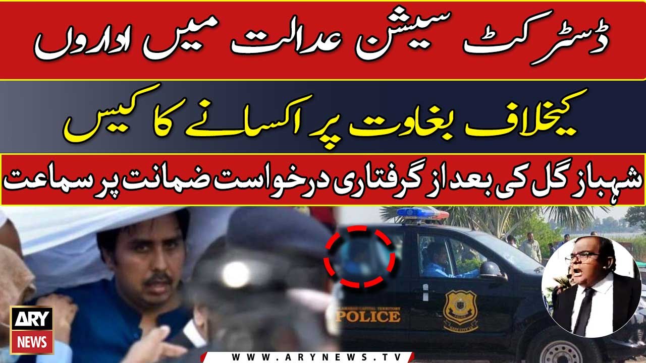 Shahbaz Gill’s bail: Court directs police to submit record by tomorrow