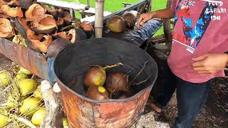 Street Drink Indonesia - Drink of the Kings with Many Benefits  Spicy Grilled Coconut