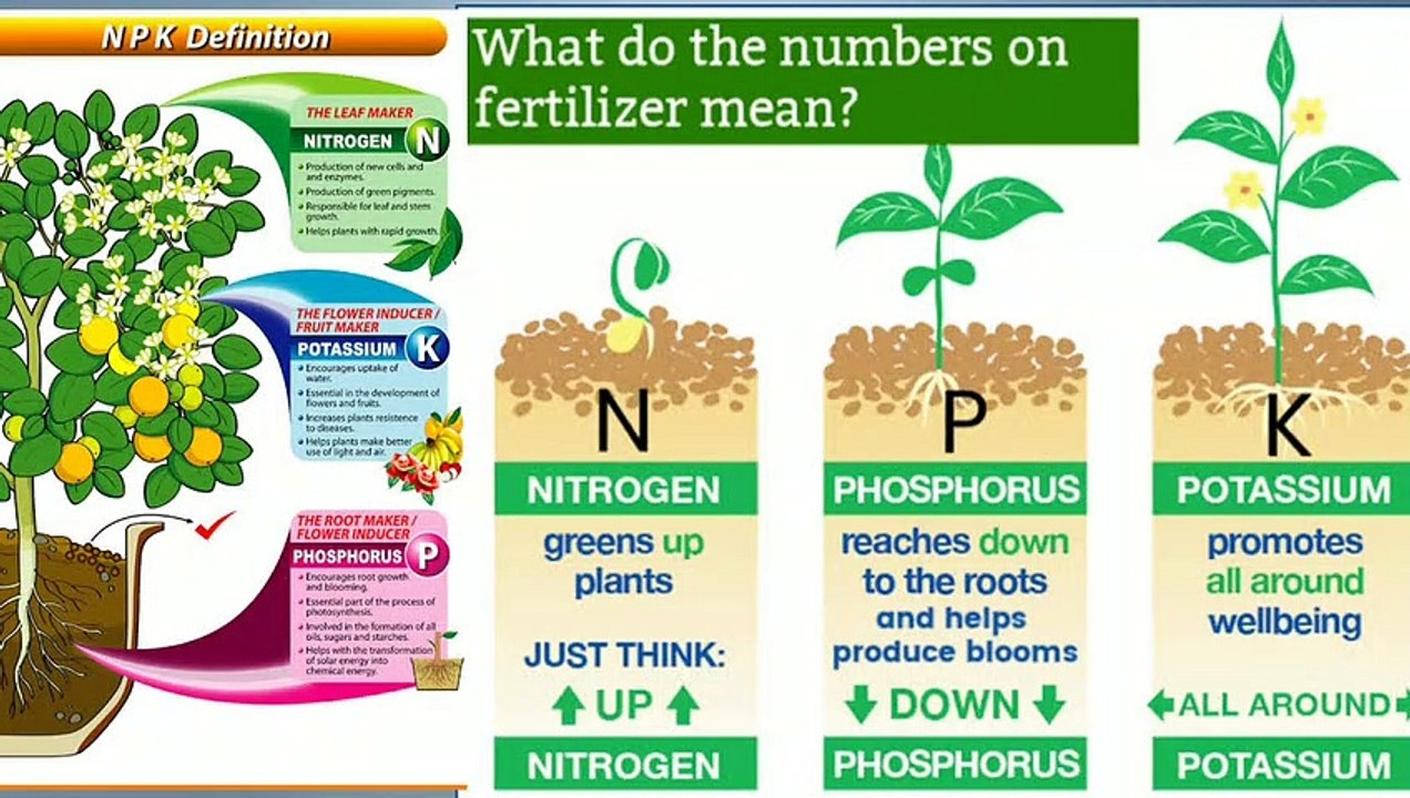 Which Fertilizers Available in Our Market and Amount of Ingredient in Those Fertilizers