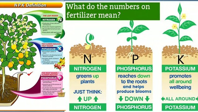 Which Fertilizers Available in Our Market and Amount of Ingredient in Those Fertilizers