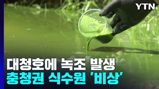 충청권 식수원 대청호에 녹조...먹는 물 비상 / YTN