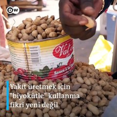 Dakar'daki bir üniversite fıstık kabuklarından pil üretti