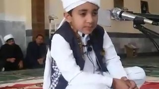Little Child Recitation The Holy Quran  // #quranreciting