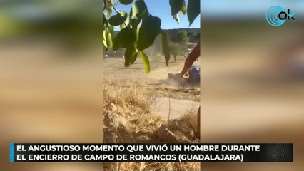 El angustioso momento que vivió un hombre durante el encierro de campo de Romancos (Guadalajara)