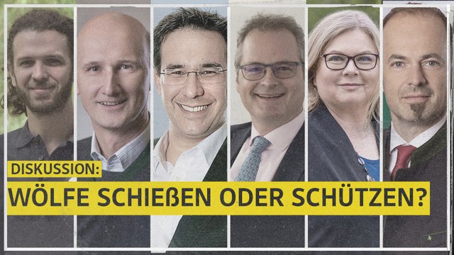 Wölfe schießen oder schützen: Dürfen wir entscheiden, wer hier leben darf?