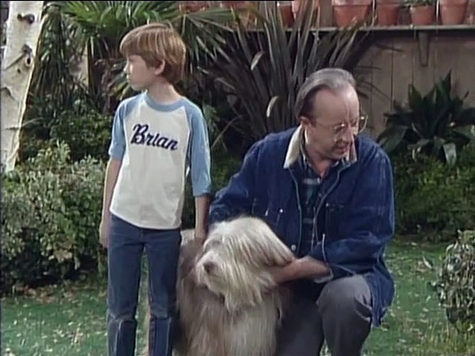 ALF Staffel 2 Folge 20 HD Deutsch