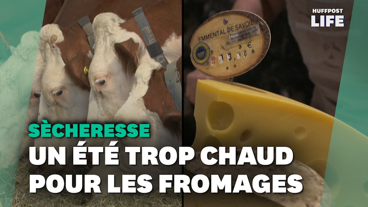 Emmental, tomme ou reblochon… avec la sécheresse, « on fait moins de fromages » en Savoie