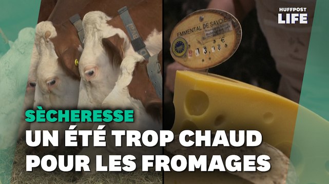 Emmental, tomme ou reblochon… avec la sécheresse, « on fait moins de fromages » en Savoie
