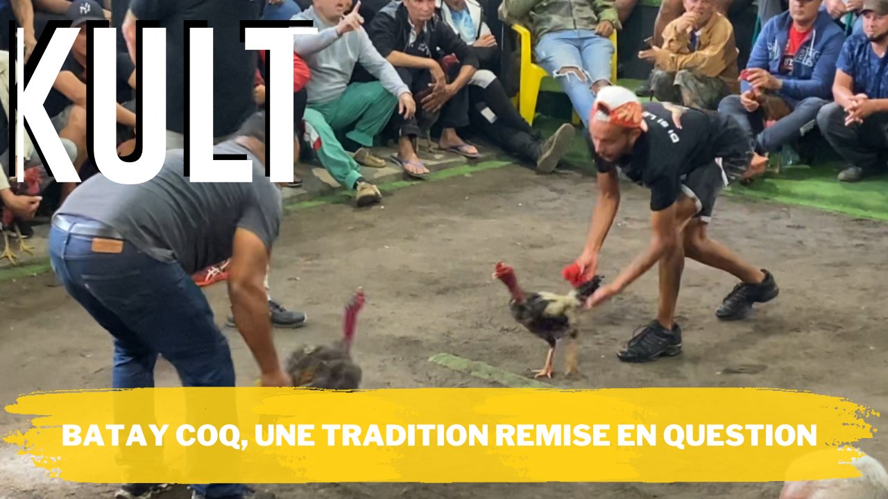 Batay coq, une tradition remise en question
