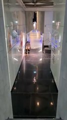 A bull enters a bank causing panic among employees