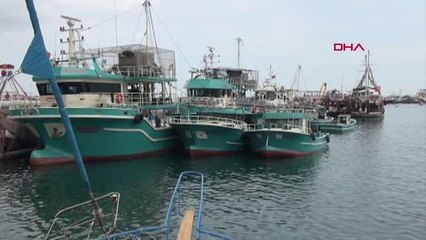 Hatay haber: HATAY'DA MİSİNA AĞLARIN KULLANIMINA İZİN TALEBİ