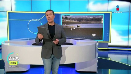 Presas en Hidalgo bajan su nivel de agua; pescadores se han quedado sin trabajo