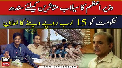 PM Shehbaz announces Rs15 bln grant for Sindh as flood relief