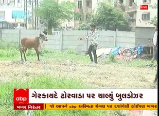 વડોદરામાં રખડતા ઢોર પકડવા અભિયાન, ગેરકાયદે ઢોરવાડા પર ચાલ્યું બુલડોઝર