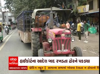 જામનગર મહાપાલિકાની કામગીરી આવી વિવાદમાં, ઢોર પકડવાની કાર્રવાઈ સામે સવાલ