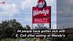 CDC Investigates E. Coli Outbreak Possibly Linked to Wendy’s Food