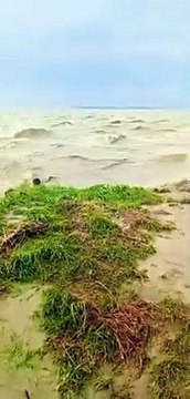 Floods in pakistan // swat bahrain floods