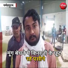 नर्मदापुरम :  मूंग बेचने में किसानों के छूट रहे पसीने