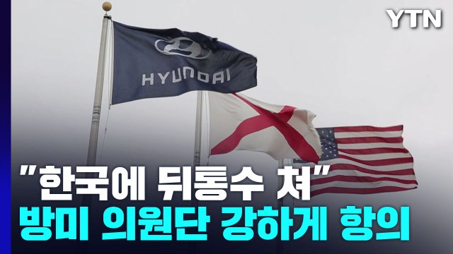 방미 의원단 한국에 뒤통수 항의에 美 우려와 분노 잘 알아 / YTN