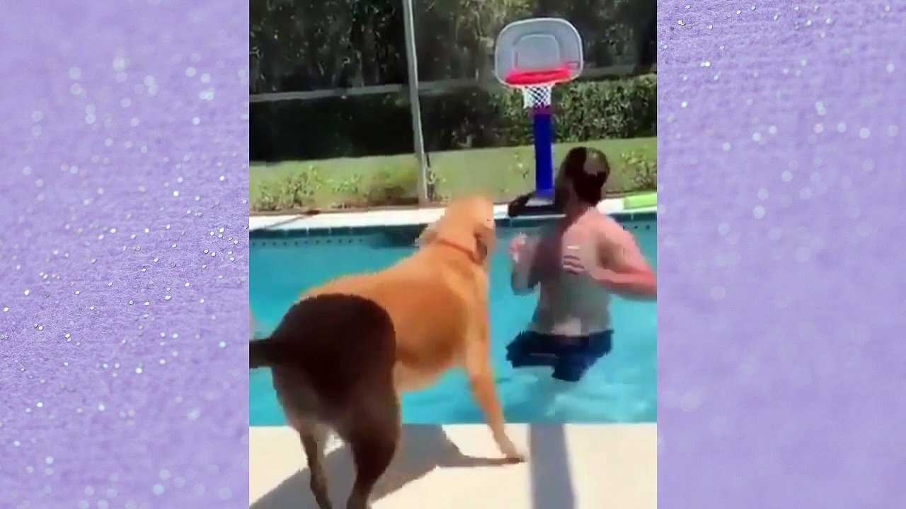 Clever and Brave Dog