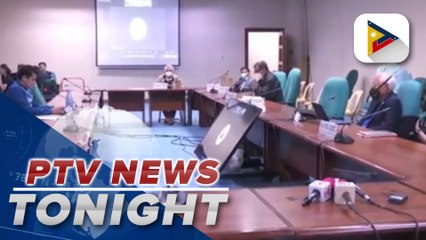 Constitutional amendments committee chair urges resource persons to use Filipino language during sessions