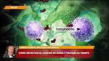 Tratamiento del cáncer de mama y pubertad precoz, entre las 6 nuevas leyes de Misiones