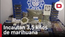 Detenido el responsable de una asociación cannábica en Malasaña e incautan 3,5 kilos de marihuana