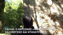 Γαλλία: Ο καύσωνας «πλήττει» κτήρια, καλλιέργειες και κτηνοτροφία