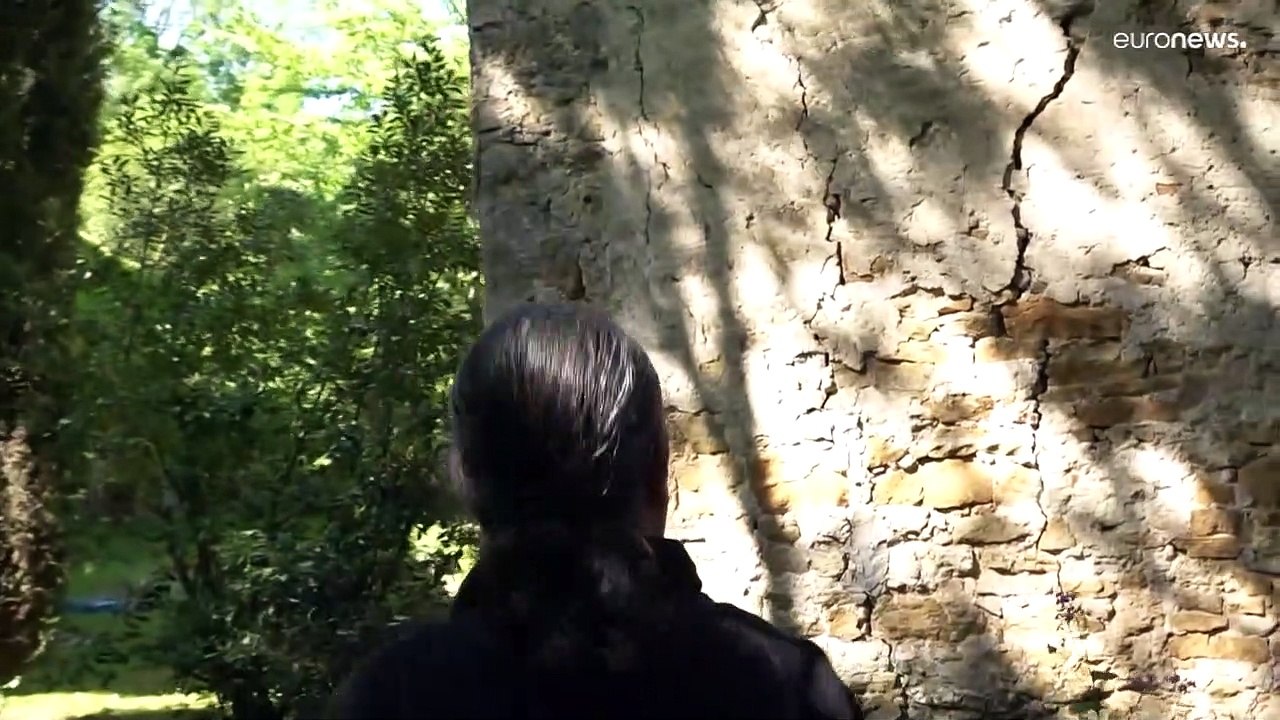 Dürre in Frankreich: Teure Milch, früher Wein