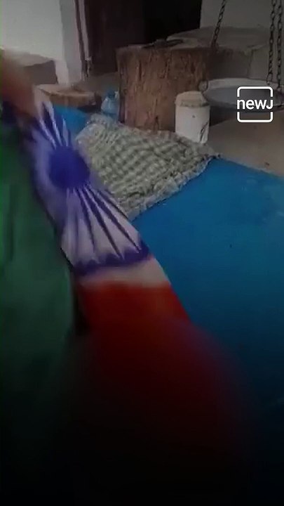 Video Of Tiranga Used As Butcher Towel In Odisha Goes Viral
