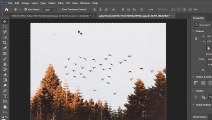 Create A Double Exposure Effect In Photoshop | Double Exposure Photoshop | Best Editing |  Photoshop