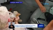 Kuting na na-trap sa dashboard ng kotse, nasagip sa tulong ng mga bumbero | Saksi