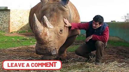 14 Animals That Are the Last of Their Kind