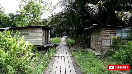 Alaska 2022 | 5 Best Places to Visit In Alaska l Travel Video