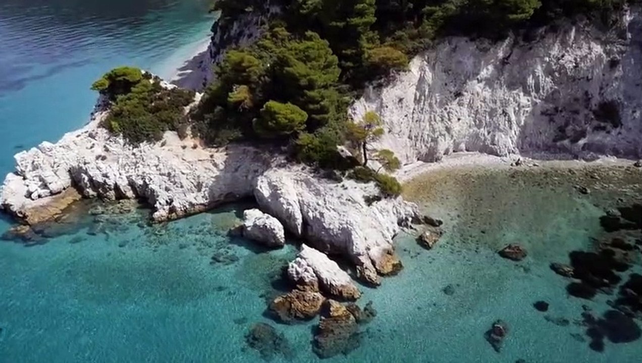 [You'll Fall Into A Fairy Dream Within 15 Min] Relax With Ocean Water Sounds In The Primeval Forest.