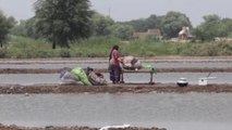 Casi mil fallecidos en dos meses por las inundaciones en Pakistán