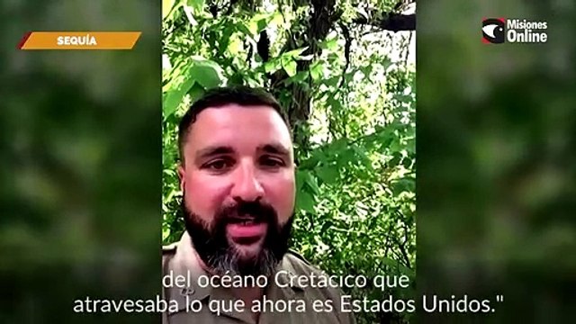 Aparecen nuevas huellas de dinosaurios en Texas