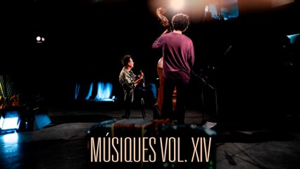 MÚSIQUES VOL. XIV - SEBASTIÁN DEL HOYO / NICOLÁS PASETTI dúo