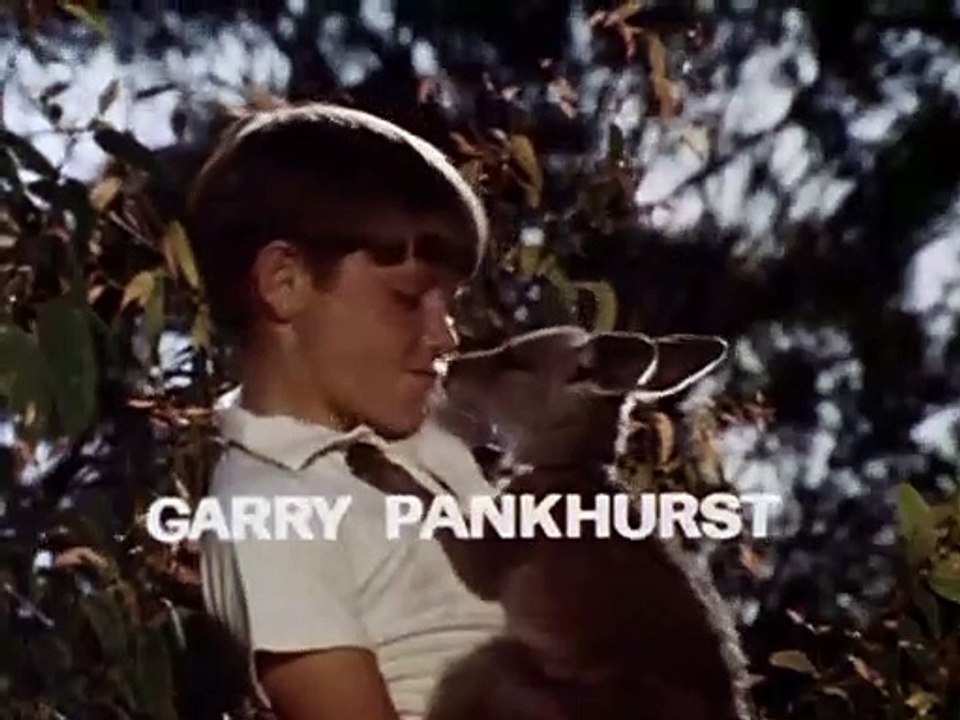 Skippy das Buschkänguruh  - Ein neues Familienmitglied