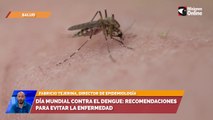 Día mundial contra el Dengue recomendaciones para evitar la enfermedad