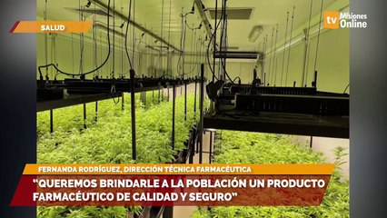“queremos brindarle a la población un producto farmacéutico de calidad y seguro”