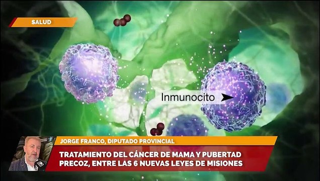 Tratamiento del cáncer de mama y pubertad precoz, entre las 6 nuevas leyes de Misiones ct