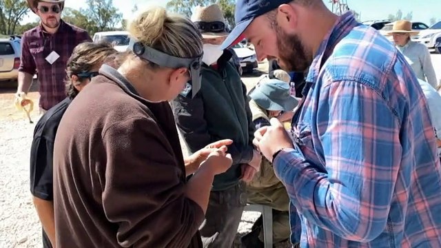 Lightning Ridge host a dinosaur fossil dig
