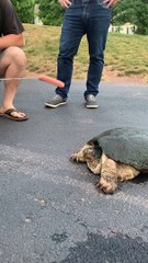 Don't Mess With the Snappers