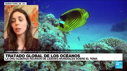 Luisina Vueso: "La prioridad es proteger las aguas internacionales"