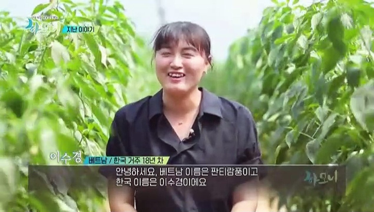 [하모니] 산골 마을 똑순이 수경 씨의 여름나기 - 3부