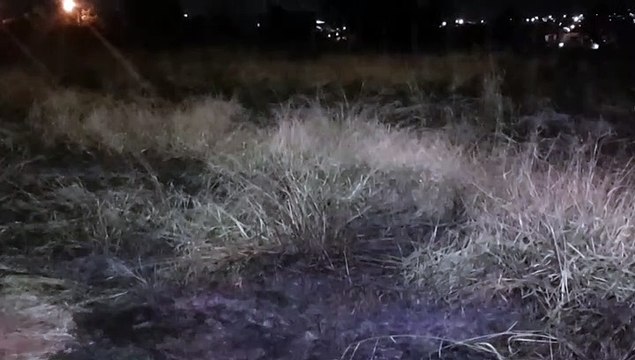 Corpo de Bombeiros é acionado para combater incêndio em vegetação nas margens da BR-277