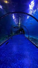 Jannat Zubair instagram reels ,3