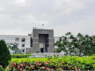 રખડતા ઢોર મુદ્દે હાઈકોર્ટે મનપાનો લીધો ઉધડો, 24 કલાકમાં કેટલા પશુઓ પકડાયા?