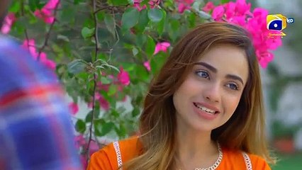 Sari Zimdariyan Bichari Bhabhi Par   Guddu   Flo Digital